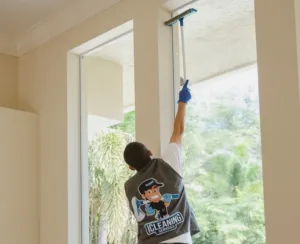 Window Cleaning Services